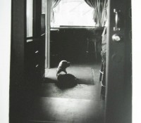 Brad Woodville Brad Woodville, Hemlock Dog