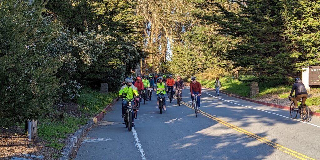 A group of people riding bikes on Arguello Blvd in the Presidio surrounded by trees.