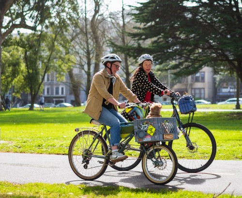 two people ride bikes through a park, one is looking at the dog in the other person's bike basket